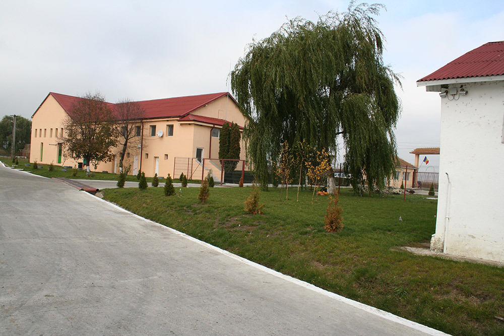 Ferme de pui cu crestere standard