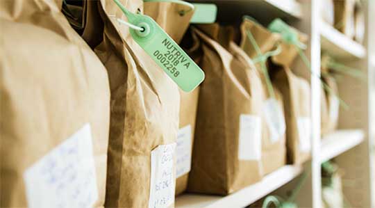 Ruminant feeds and concentrates